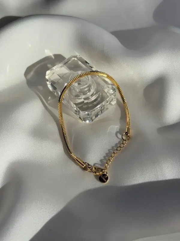 Serpiente — Cadena serpiente con medalla colgante.
